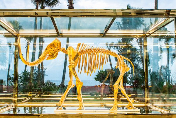 Gilded woolly mammoth encased in oversize insulated glass units